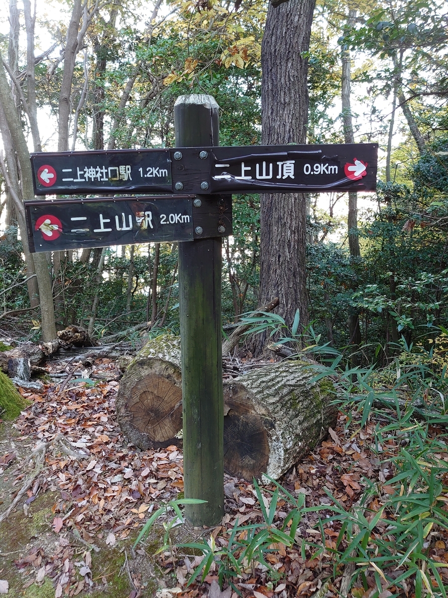 f:id:okatoshitan:20211203224904j:plain