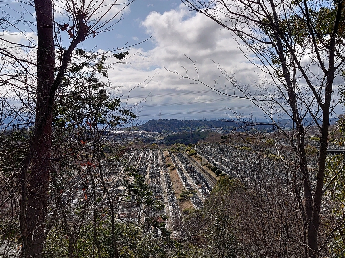 f:id:okatoshitan:20220402115533j:plain