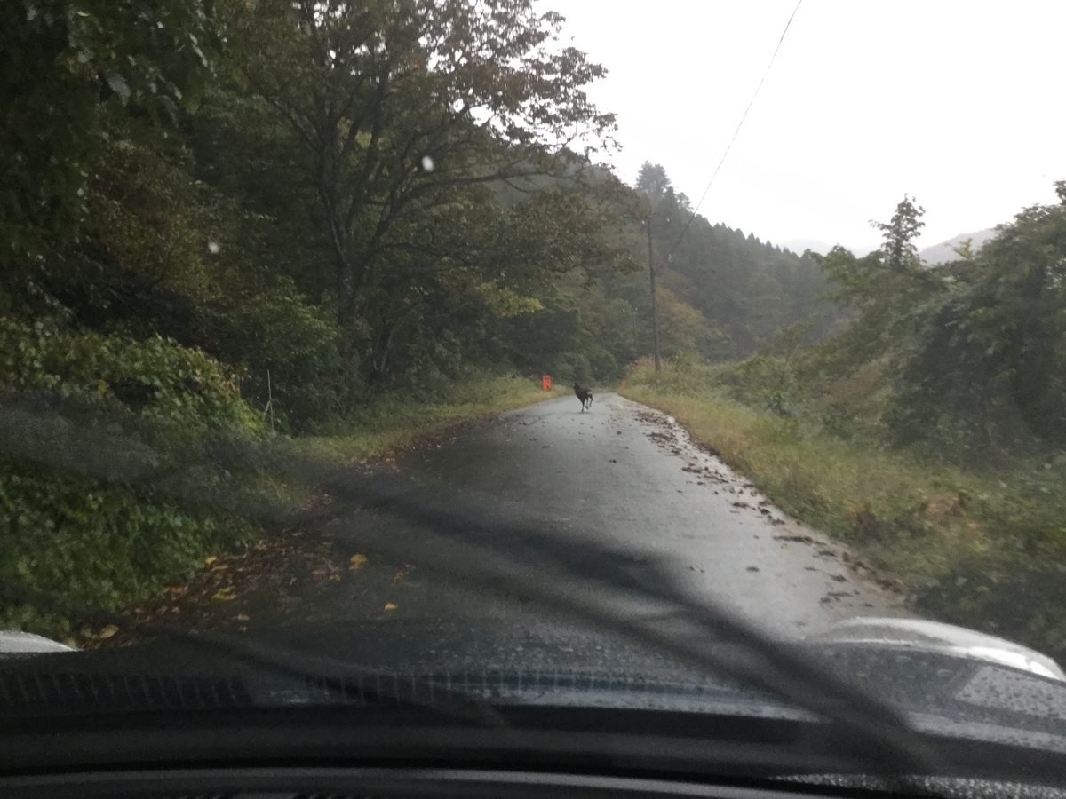 f:id:okatruck:20171021064508j:plain f:id:okatruck:20171021064508j:plain