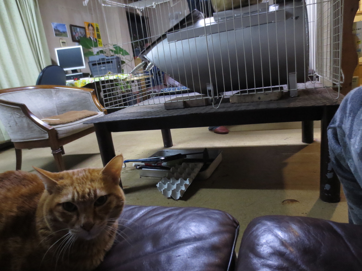 f:id:okatruck:20220123204545j:plain