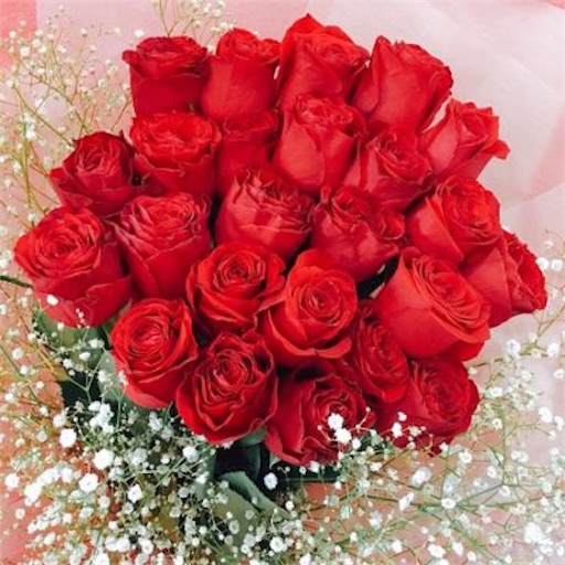 f:id:okayu925:20200215102655j:image f:id:okayu925:20200215102655j:image