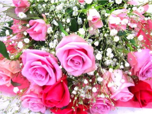 f:id:okayu925:20200215102715j:image f:id:okayu925:20200215102715j:image