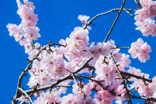 f:id:okayu925:20210903204558p:plain