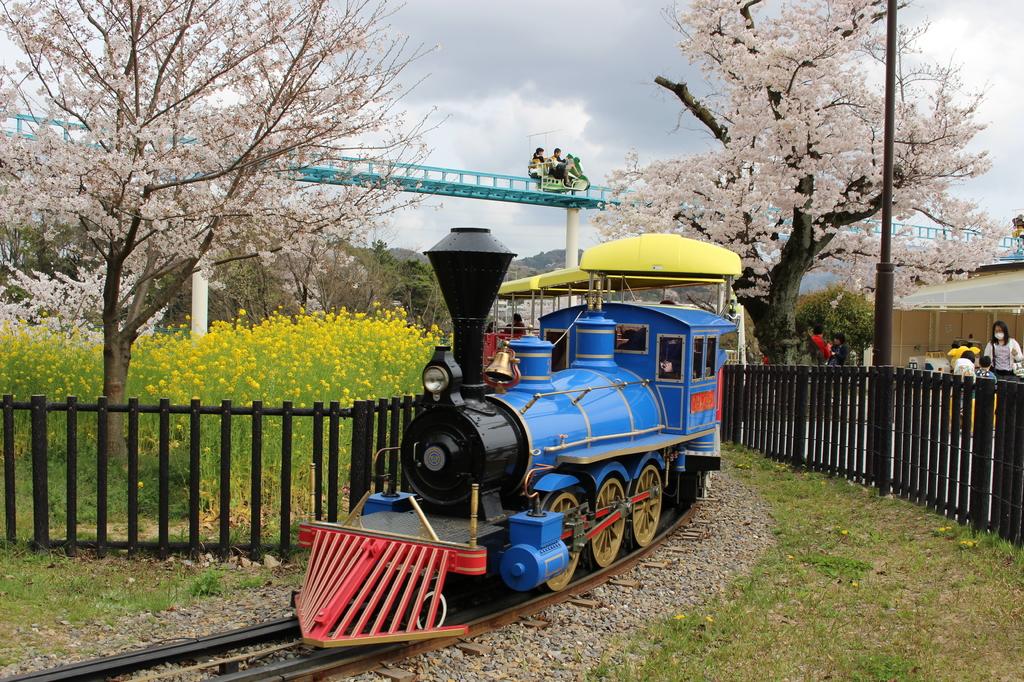 f:id:okazaki_kanko:20190604133229j:plain f:id:okazaki_kanko:20190604133229j:plain