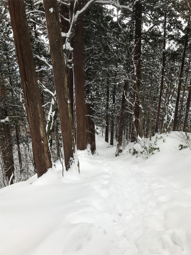 f:id:okazakipeko:20180105144204j:image