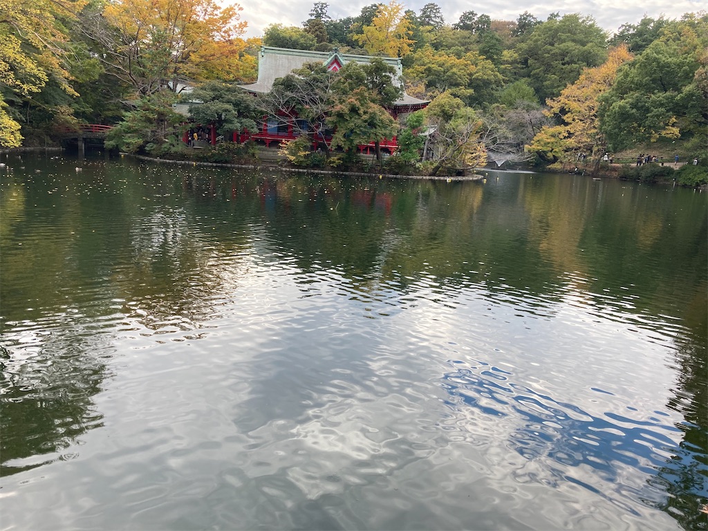 f:id:okd1029:20201110182417j:plain
