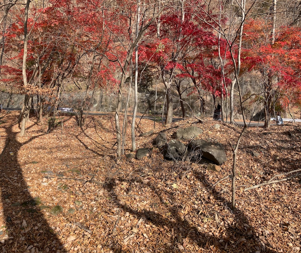 f:id:okd1029:20201125132154j:image