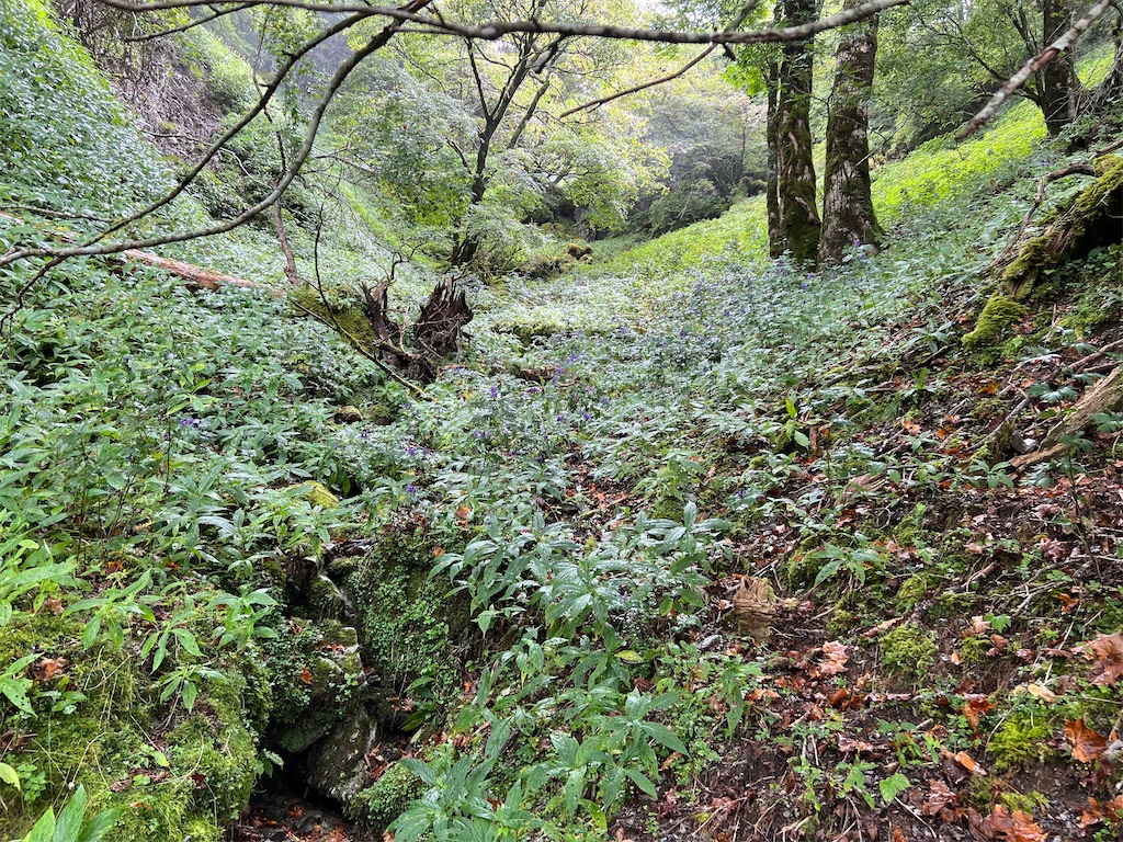 f:id:okeired:20230928214547j:image f:id:okeired:20230928214547j:image