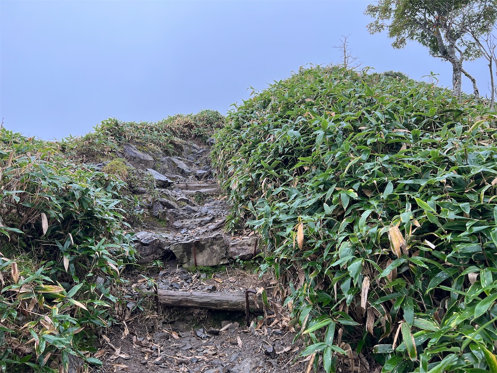 f:id:okeired:20230928214558j:image f:id:okeired:20230928214558j:image