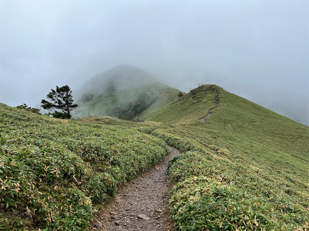 f:id:okeired:20230928214610j:image f:id:okeired:20230928214610j:image