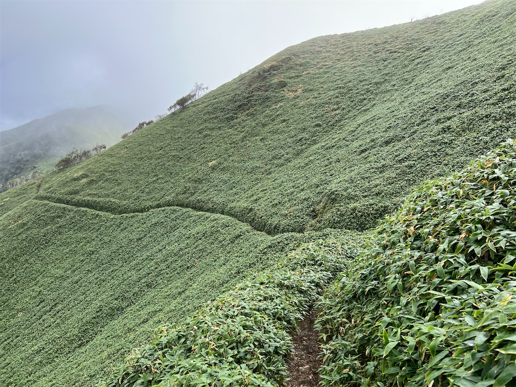 f:id:okeired:20230928214725j:image f:id:okeired:20230928214725j:image