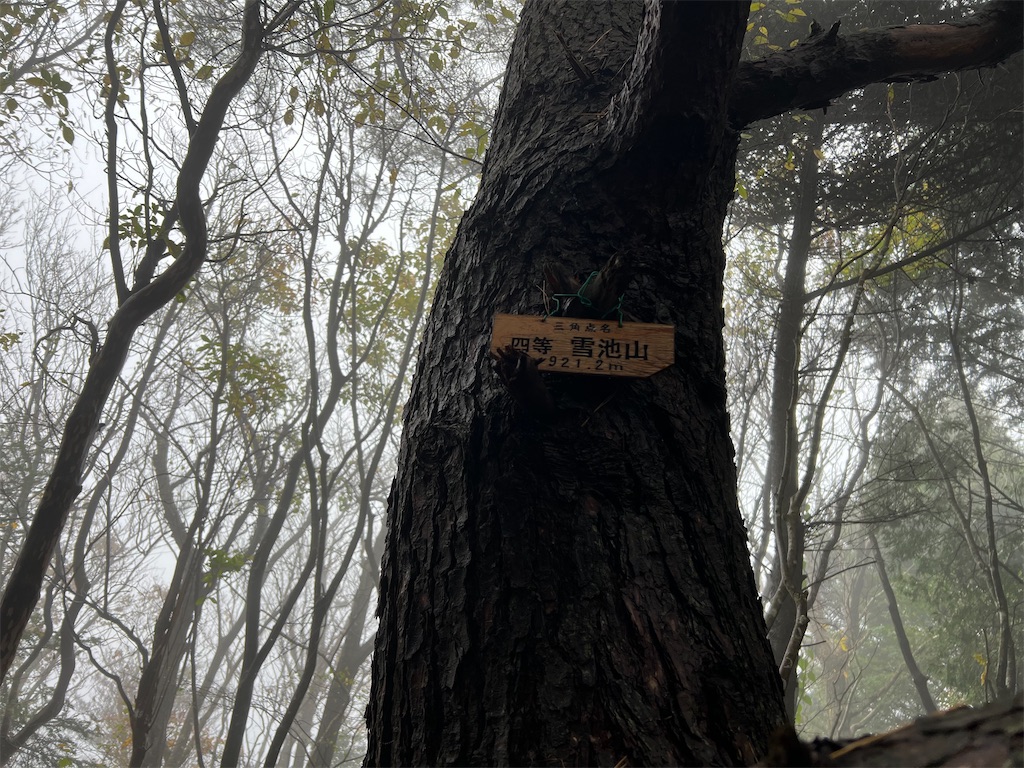 f:id:okeired:20231205203337j:image