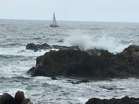 f:id:oketani0318:20180810092236j:image f:id:oketani0318:20180810092236j:image