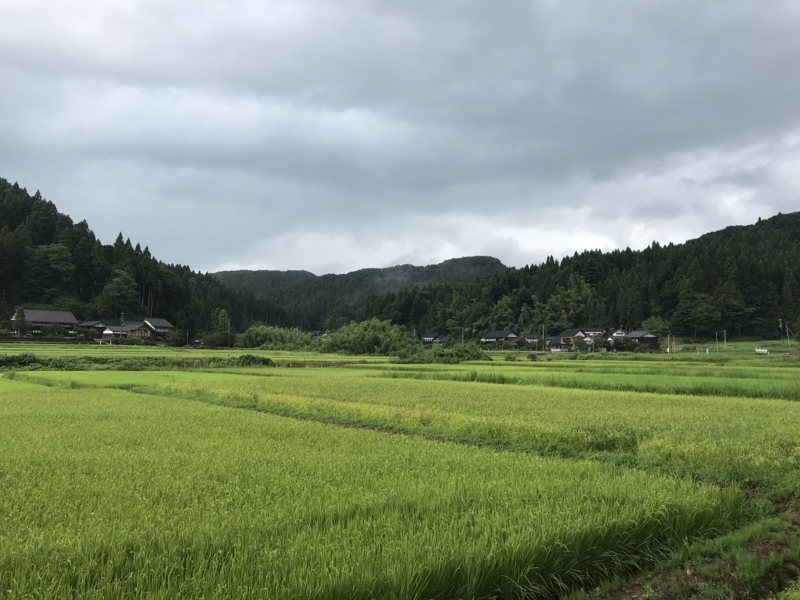 f:id:oketani0318:20180810145426j:image f:id:oketani0318:20180810145426j:image