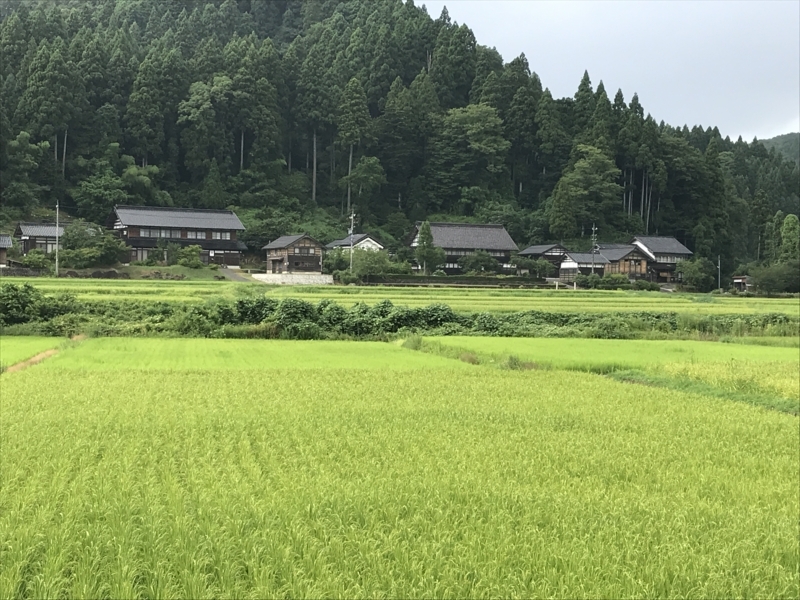 f:id:oketani0318:20180810145435j:image f:id:oketani0318:20180810145435j:image