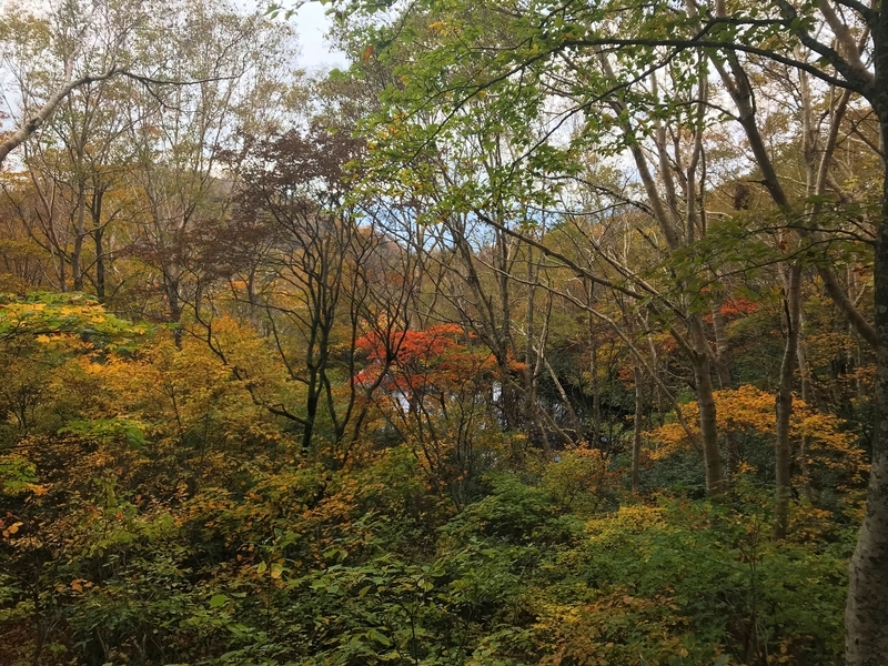f:id:oketani0318:20181013131656j:image f:id:oketani0318:20181013131656j:image