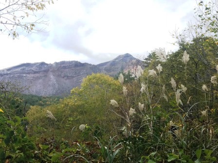 f:id:oketani0318:20181013134518j:image f:id:oketani0318:20181013134518j:image