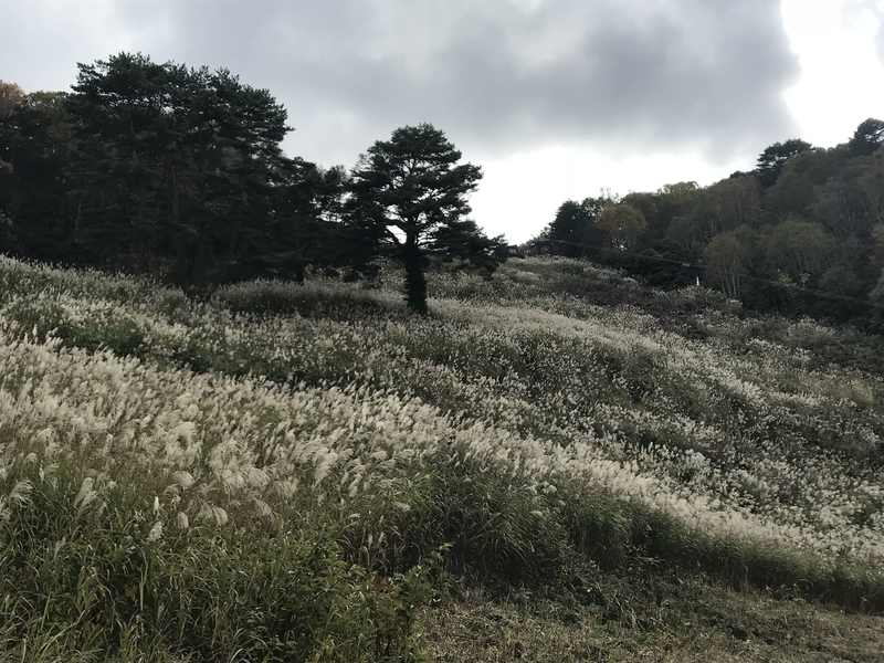 f:id:oketani0318:20181013141540j:image f:id:oketani0318:20181013141540j:image