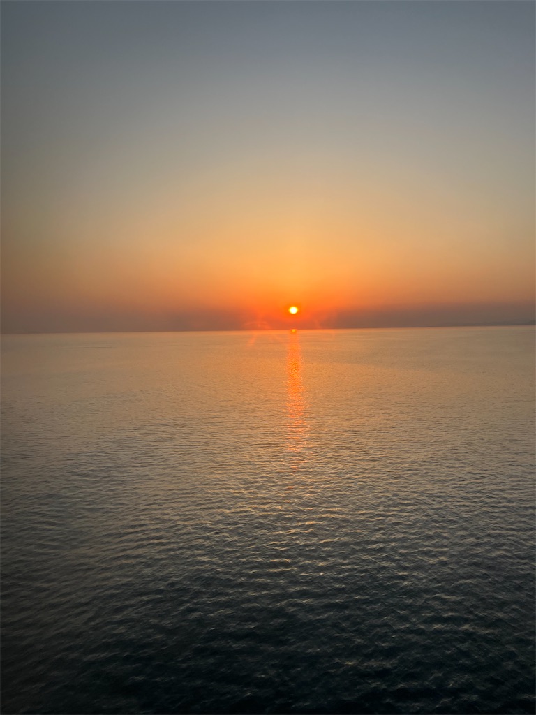 f:id:oketani0318:20260516210424j:image f:id:oketani0318:20260516210424j:image