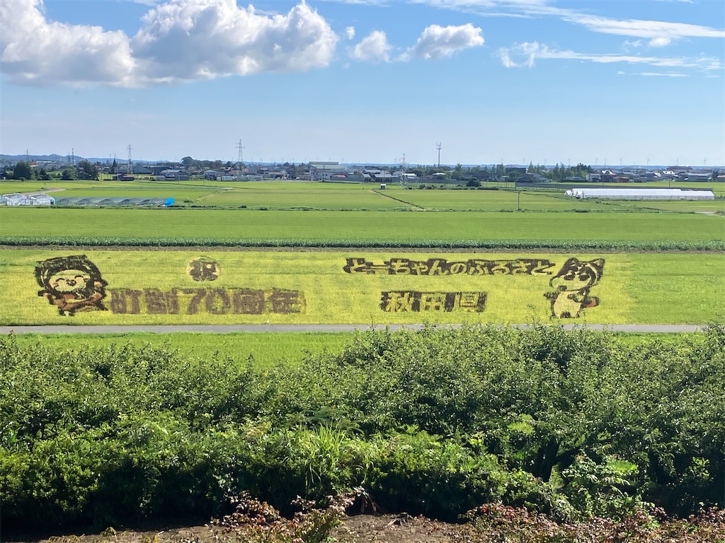 f:id:oketani0318:20260825192840j:image f:id:oketani0318:20260825192840j:image