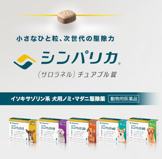 f:id:okeydon:20190831161932j:plain f:id:okeydon:20190831161932j:plain