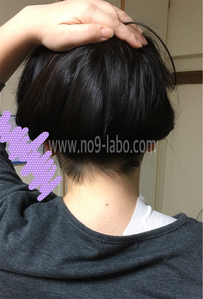 f:id:oki-gura:20180507230523j:image f:id:oki-gura:20180507230523j:image