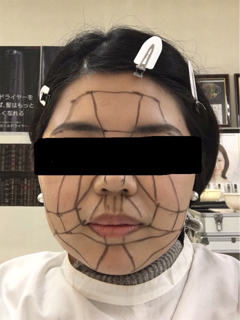 f:id:oki-gura:20190113233211j:image f:id:oki-gura:20190113233211j:image