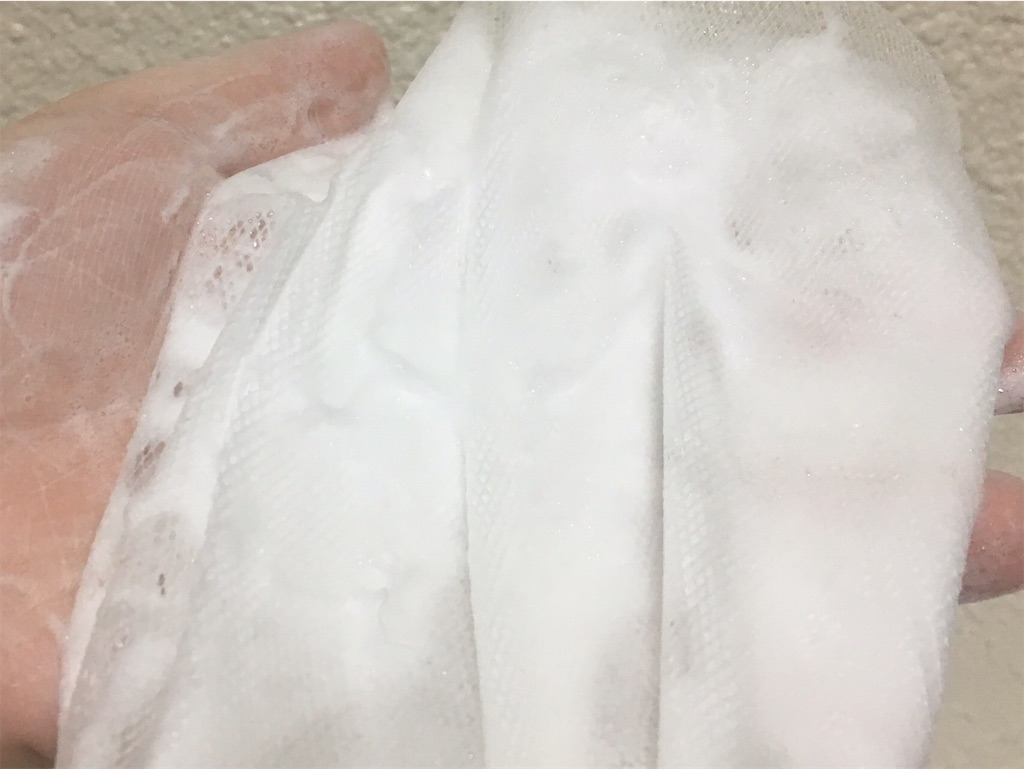 f:id:oki-gura:20190209234655j:image f:id:oki-gura:20190209234655j:image
