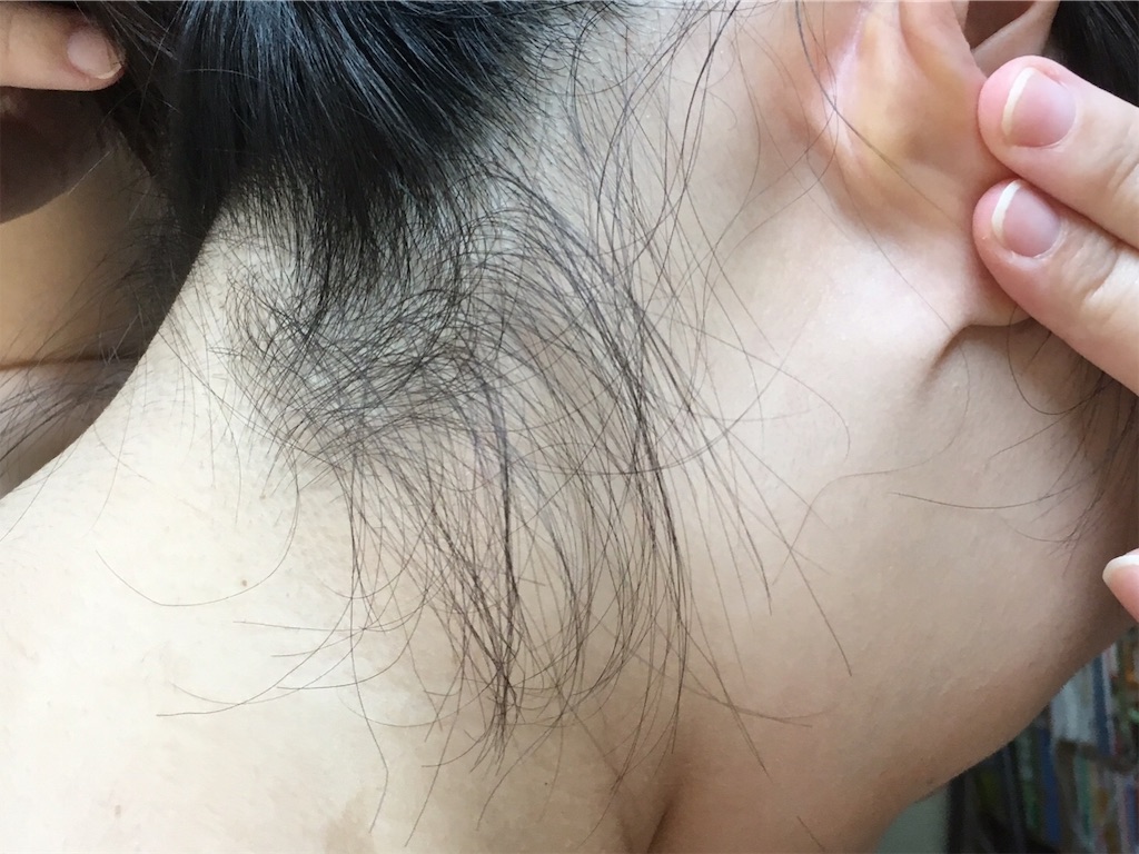 f:id:oki-gura:20190222222346j:plain f:id:oki-gura:20190222222346j:plain