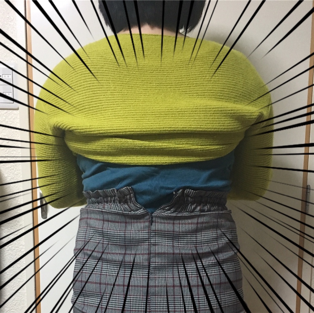 f:id:oki-gura:20190319082129j:plain f:id:oki-gura:20190319082129j:plain