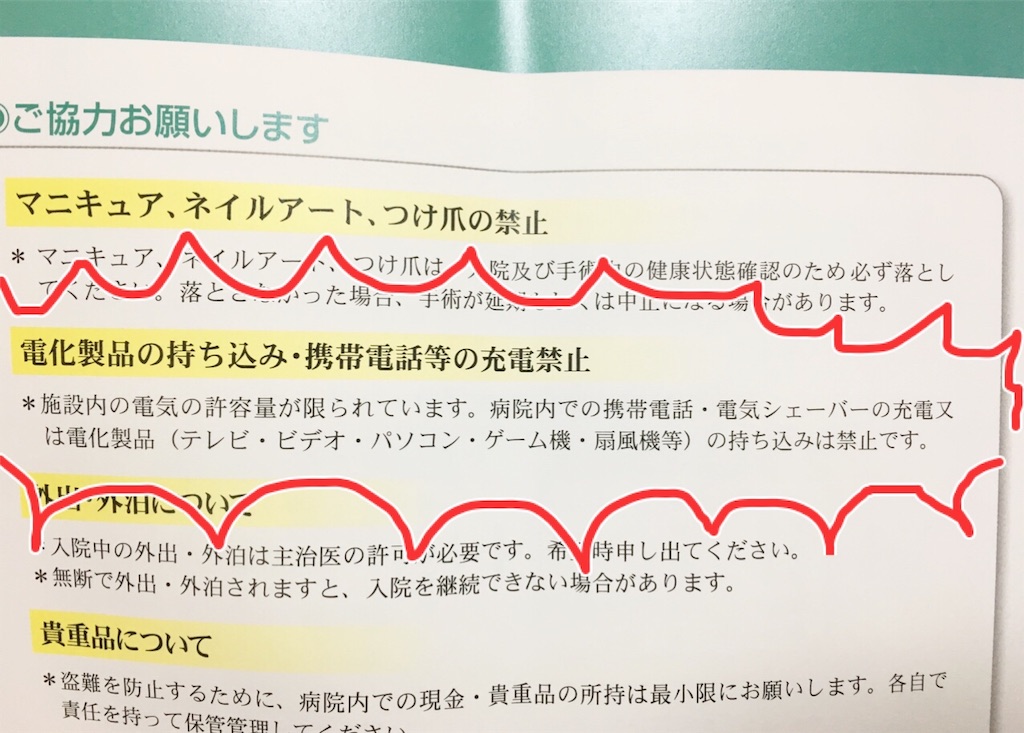 f:id:oki-gura:20190505134206j:plain f:id:oki-gura:20190505134206j:plain