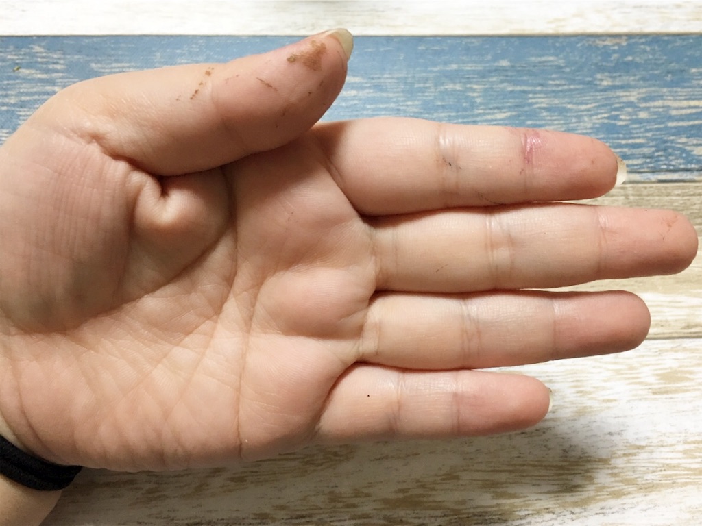 f:id:oki-gura:20190611214518j:image f:id:oki-gura:20190611214518j:image