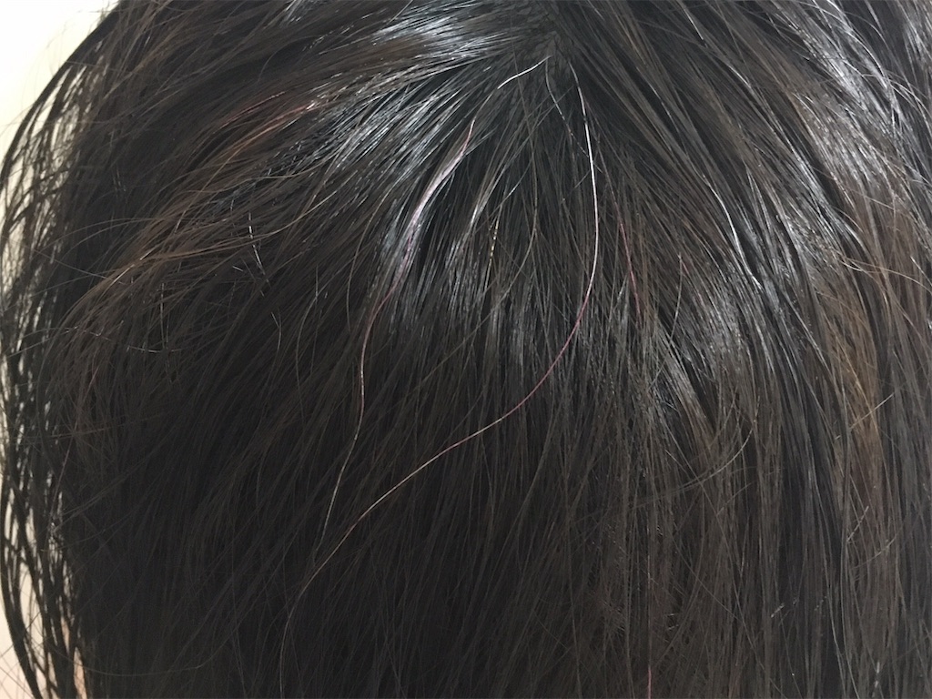 f:id:oki-gura:20190611214620j:image f:id:oki-gura:20190611214620j:image