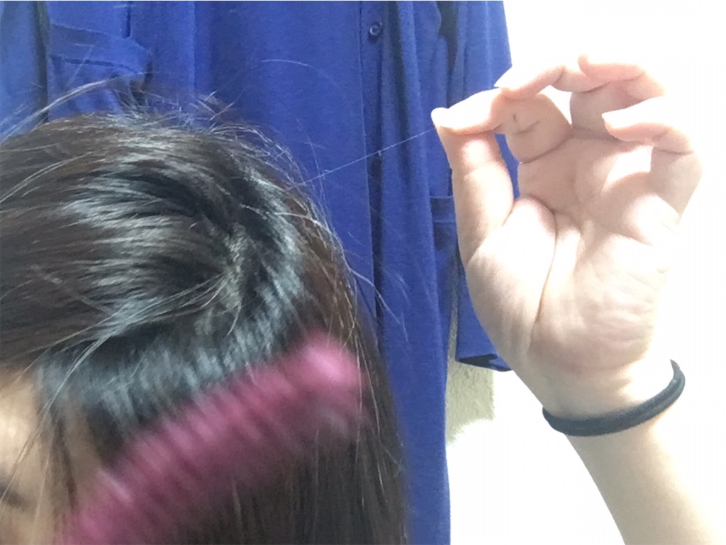 f:id:oki-gura:20190614064030j:image f:id:oki-gura:20190614064030j:image