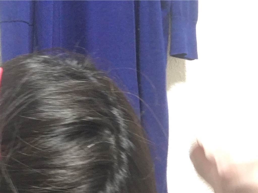 f:id:oki-gura:20190614064141j:image f:id:oki-gura:20190614064141j:image