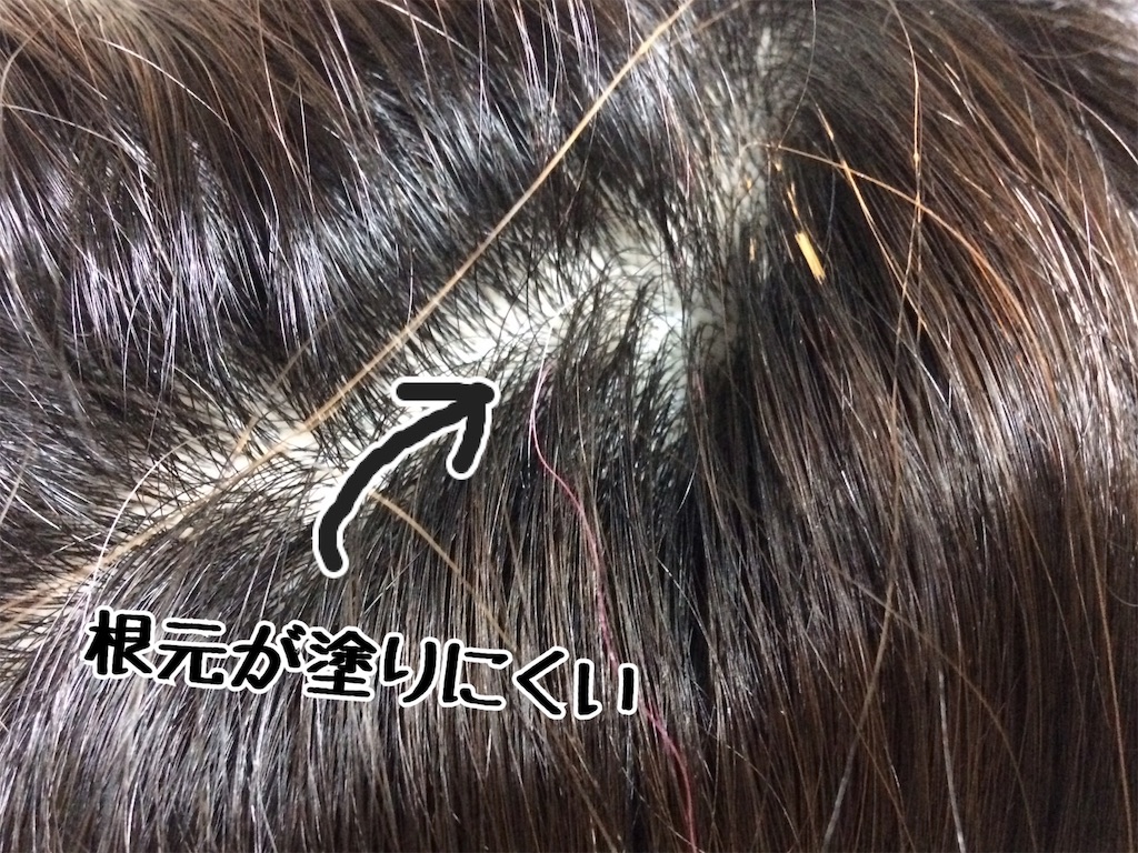 f:id:oki-gura:20190614064256j:image f:id:oki-gura:20190614064256j:image