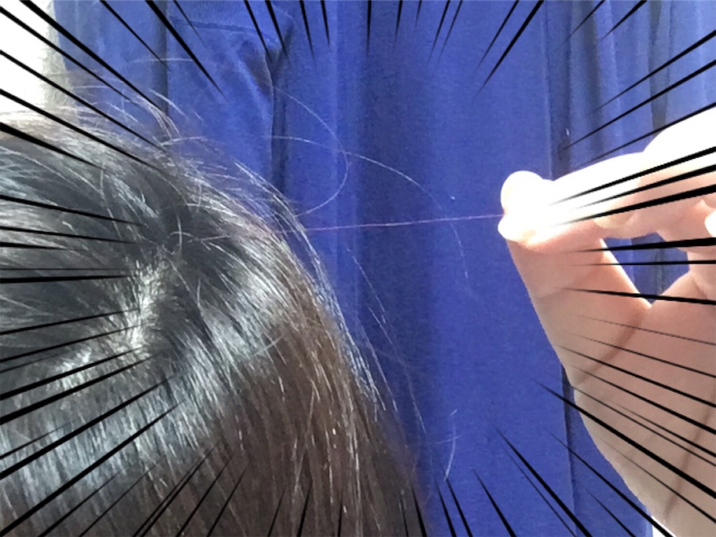 f:id:oki-gura:20190614064755j:image f:id:oki-gura:20190614064755j:image