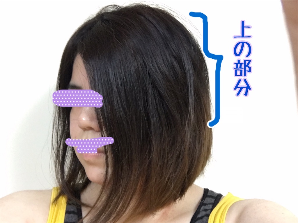 f:id:oki-gura:20190703204940j:image f:id:oki-gura:20190703204940j:image