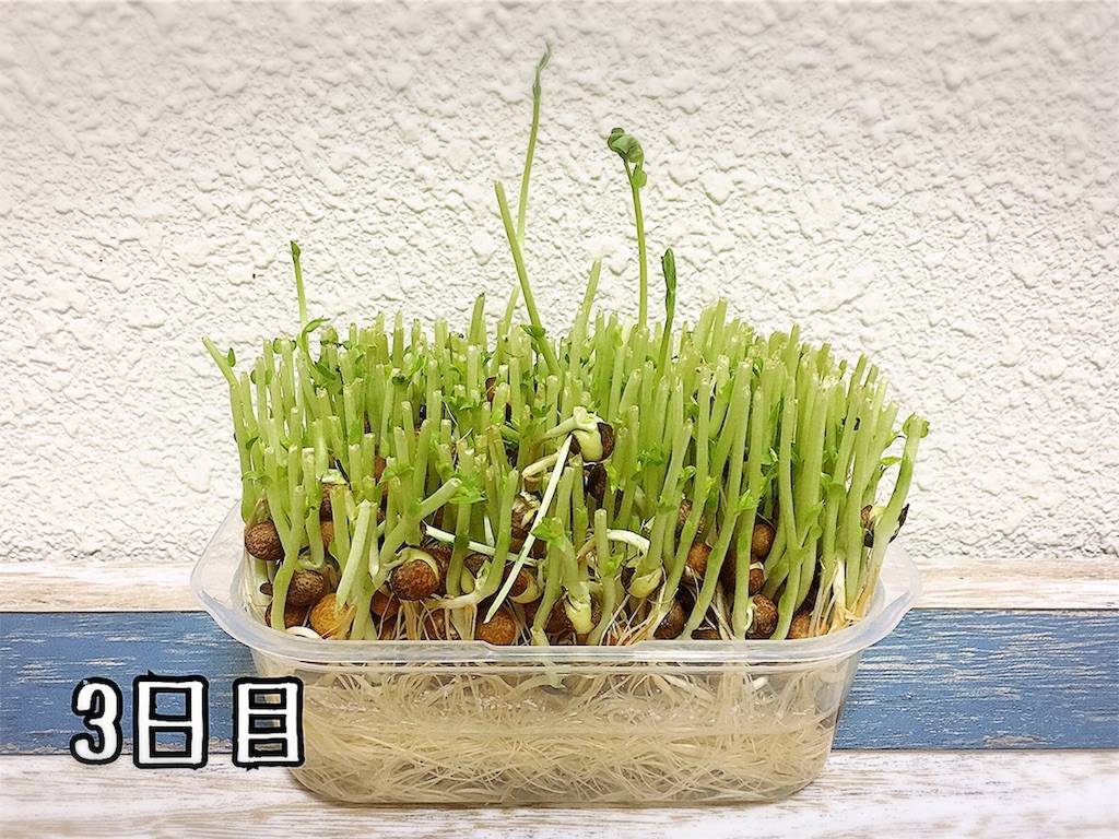 f:id:oki-gura:20190724133016j:image f:id:oki-gura:20190724133016j:image