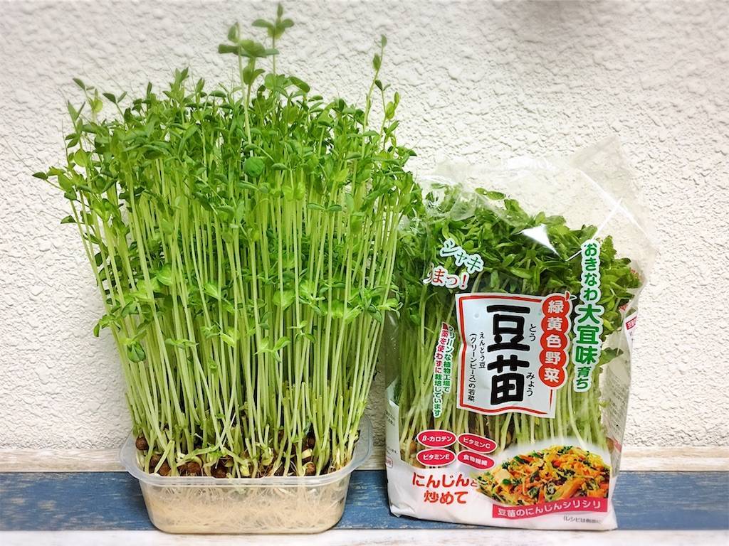 f:id:oki-gura:20190724133205j:image f:id:oki-gura:20190724133205j:image