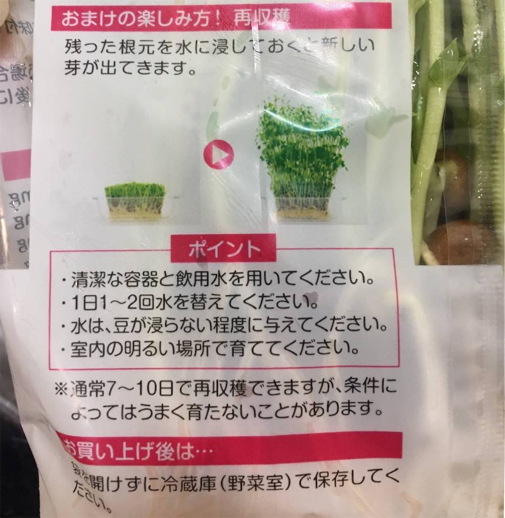 f:id:oki-gura:20190724203754j:image f:id:oki-gura:20190724203754j:image