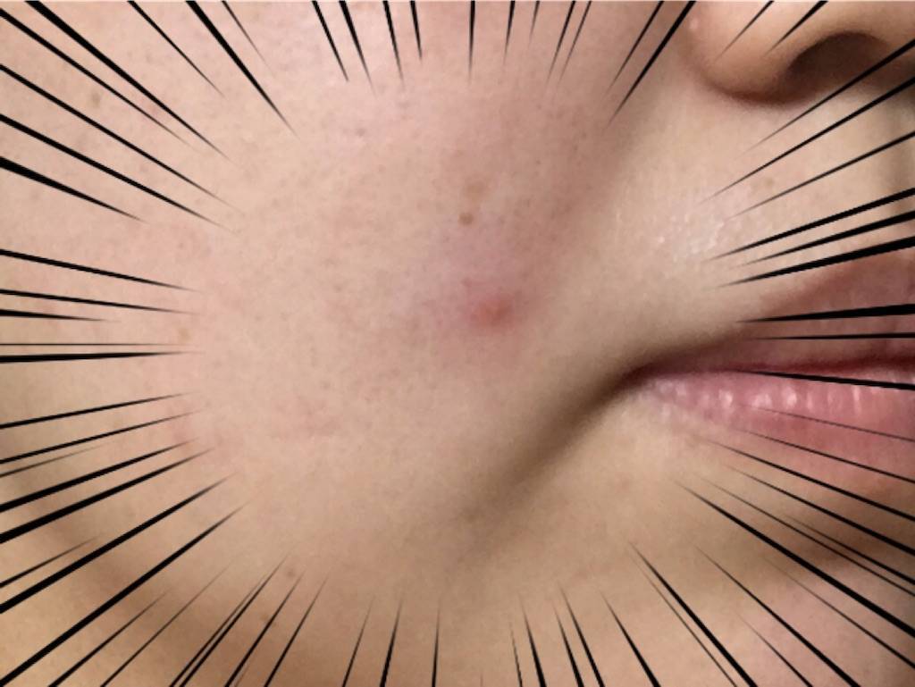 f:id:oki-gura:20190908123656j:image f:id:oki-gura:20190908123656j:image