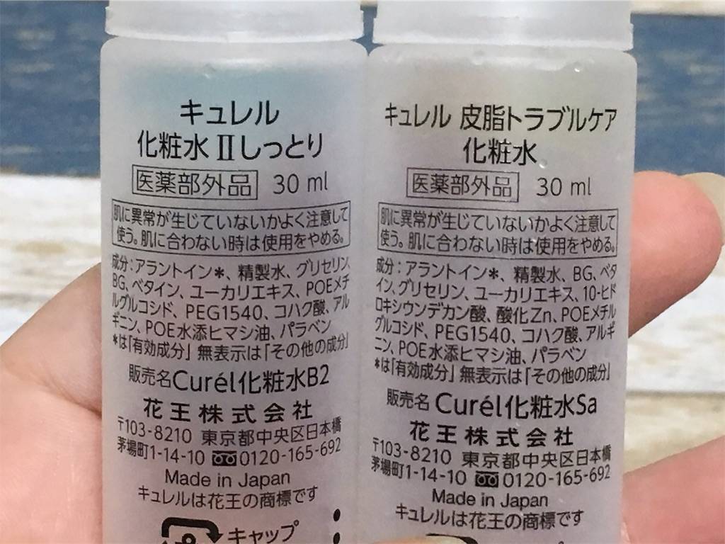 f:id:oki-gura:20191019194652j:plain f:id:oki-gura:20191019194652j:plain