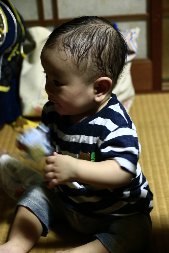 f:id:oki-umeboshi:20160626232239j:plain f:id:oki-umeboshi:20160626232239j:plain