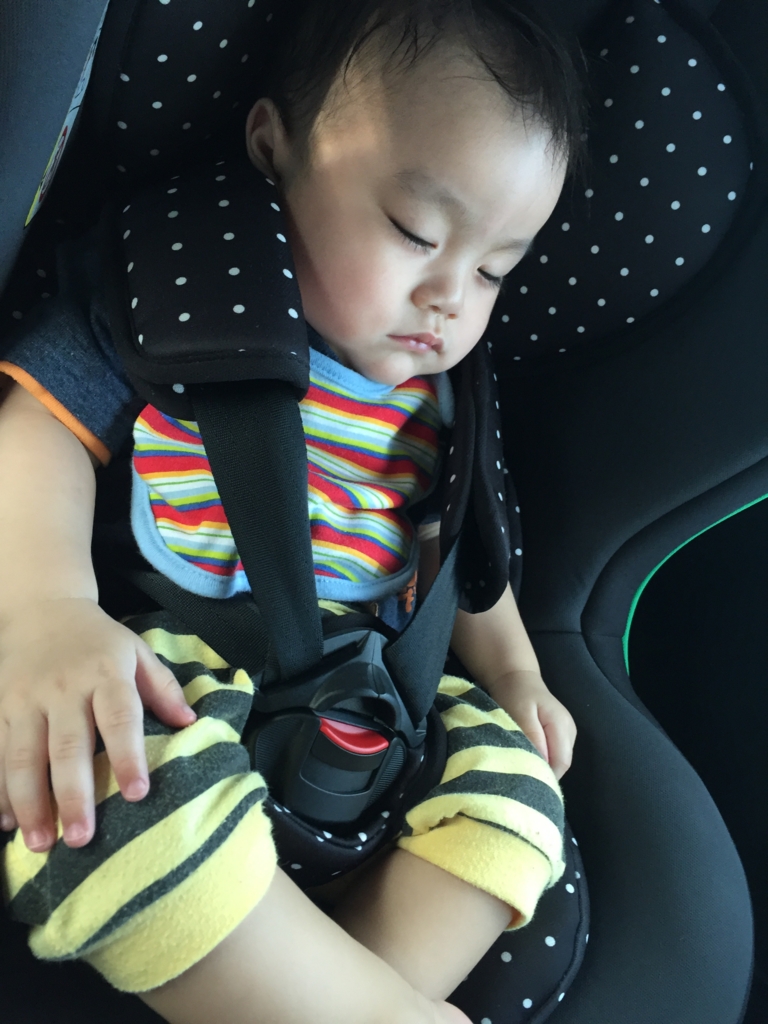 f:id:oki-umeboshi:20160627195226j:plain f:id:oki-umeboshi:20160627195226j:plain