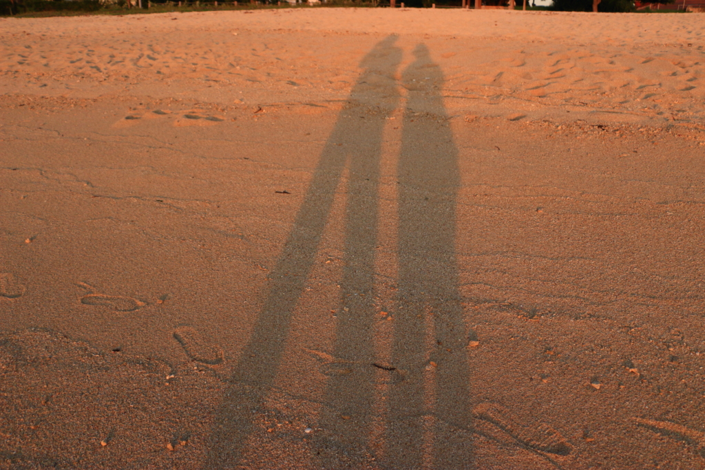 f:id:oki-umeboshi:20161024001201j:plain