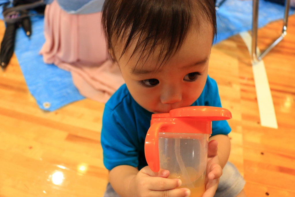 f:id:oki-umeboshi:20161024001322j:plain