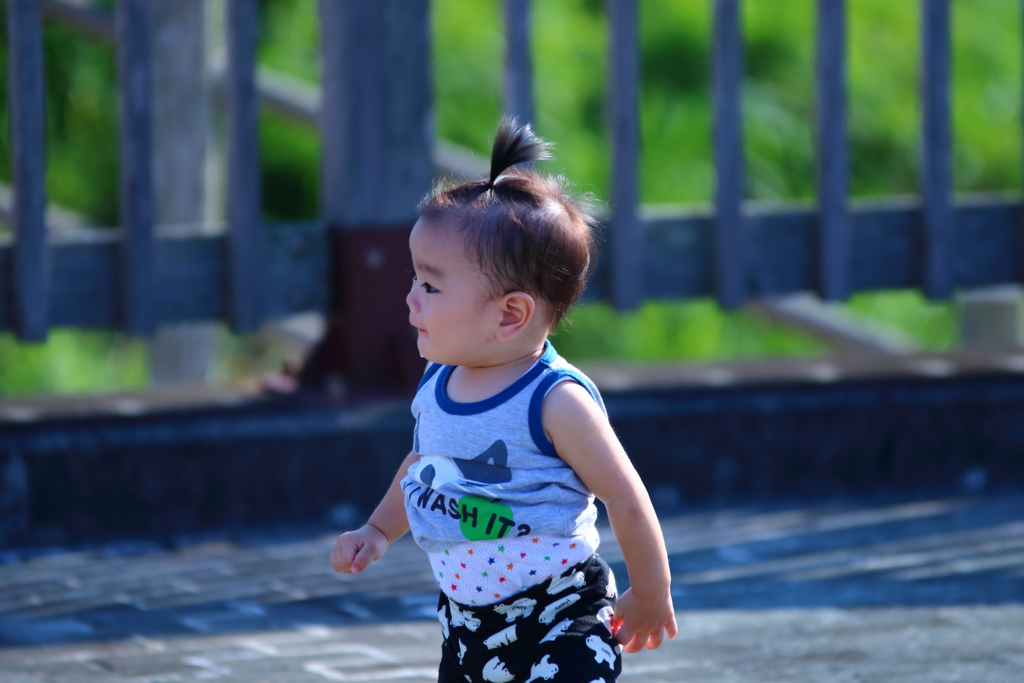 f:id:oki-umeboshi:20161030231435j:plain f:id:oki-umeboshi:20161030231435j:plain