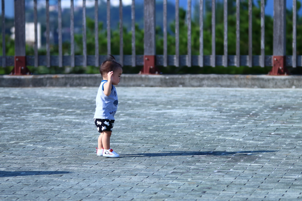 f:id:oki-umeboshi:20161030231438j:plain f:id:oki-umeboshi:20161030231438j:plain