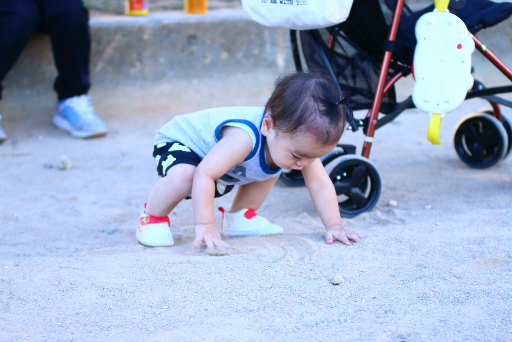 f:id:oki-umeboshi:20161030233731j:plain f:id:oki-umeboshi:20161030233731j:plain